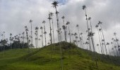 Valle del Cocora Fuente: Uff.Travel