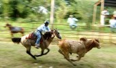 Encuentro Mundial de la Vaquería