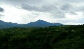 Parque Nacional Natural Munchique Fuente: wikimedia.org por C arango